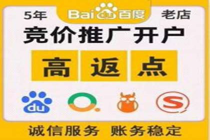 专业SEM服务公司案例分析报告