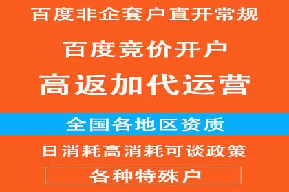 搜索引擎关键词竞价排名的策略调整与案例